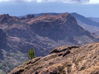 W drodze do Roque Nublo